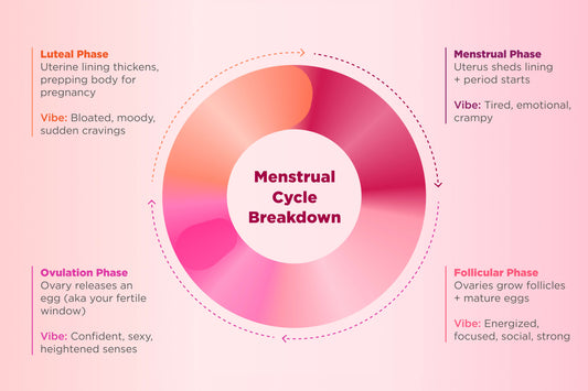 demystifying the menstrual cycle