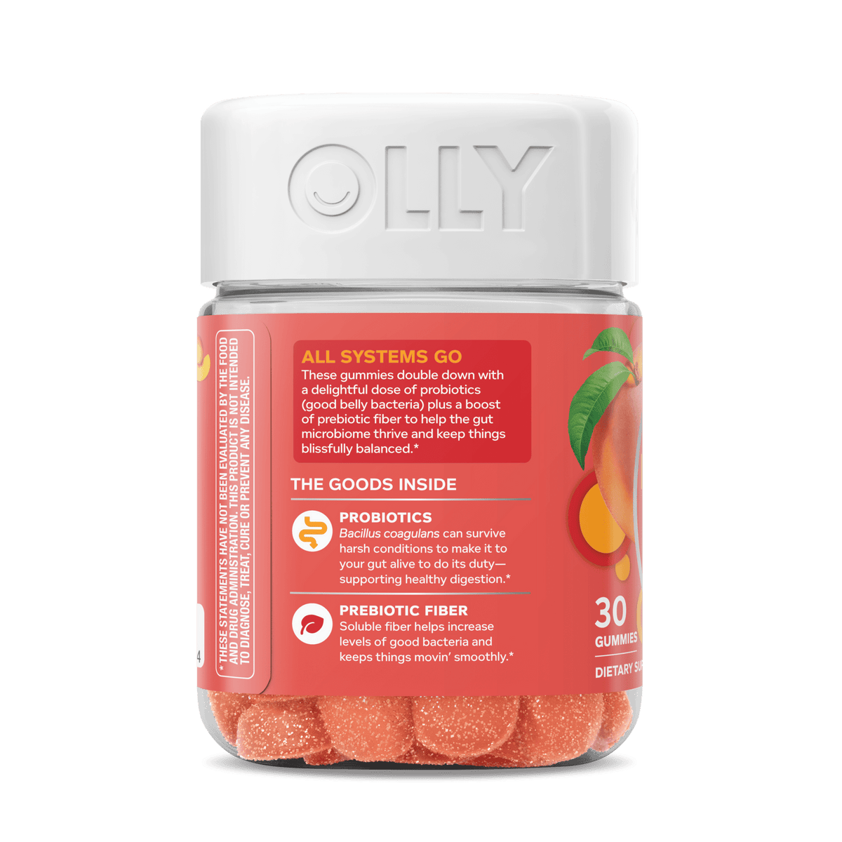 Probiotic + Prebiotic Image