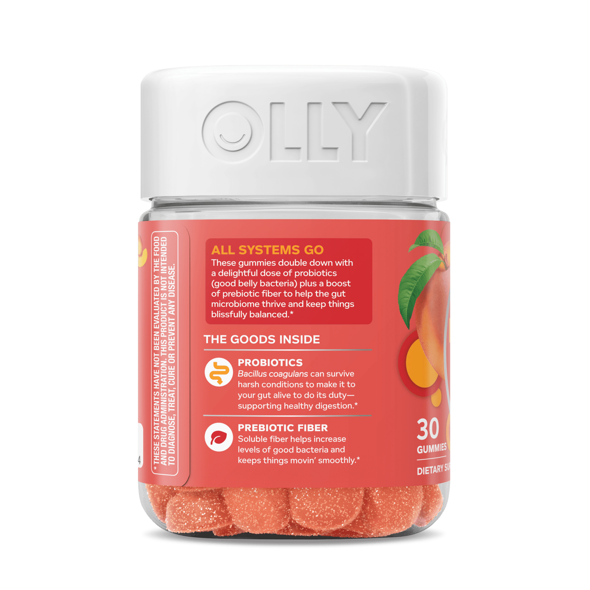 Probiotic + Prebiotic Zoomed