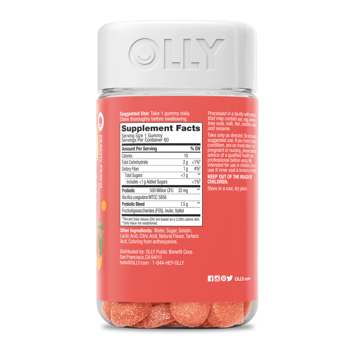 Probiotic + Prebiotic Image