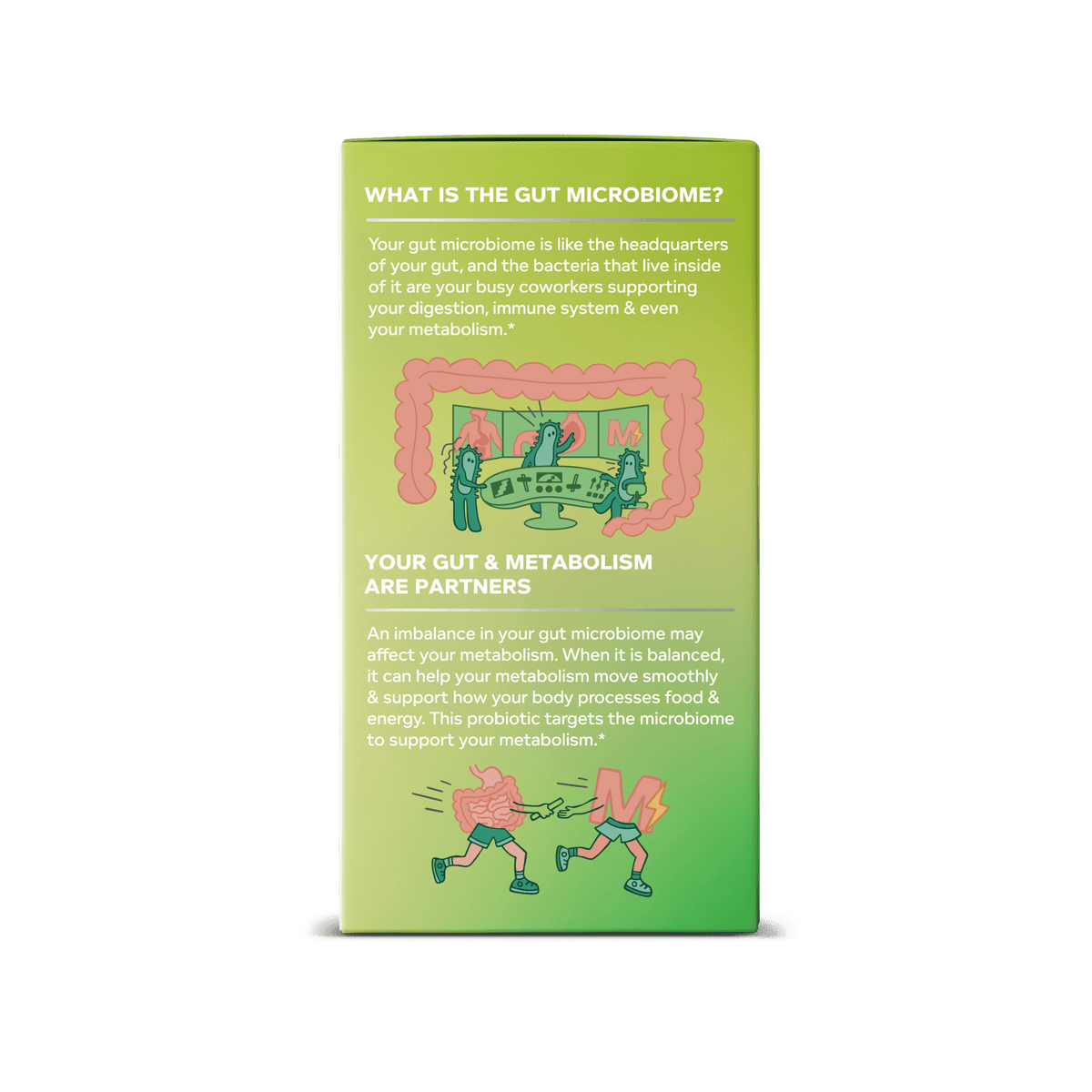 Precise Probiotics Metabolism Image