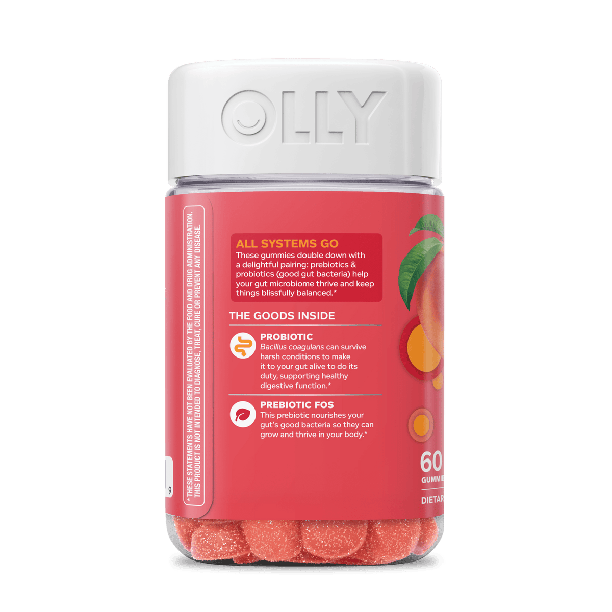 Probiotic + Prebiotic Image