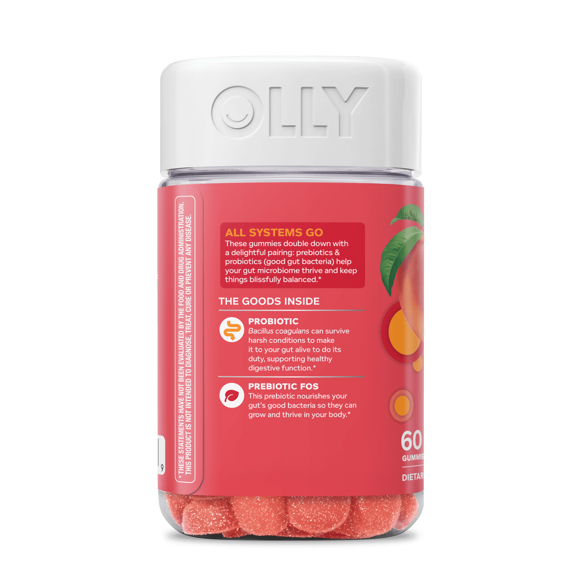 Probiotic + Prebiotic Zoomed