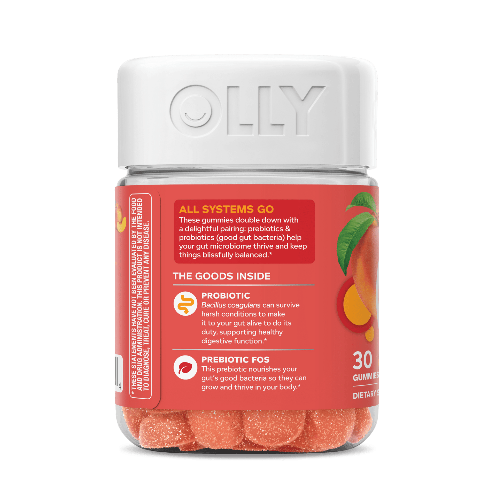 Probiotic + Prebiotic Zoomed