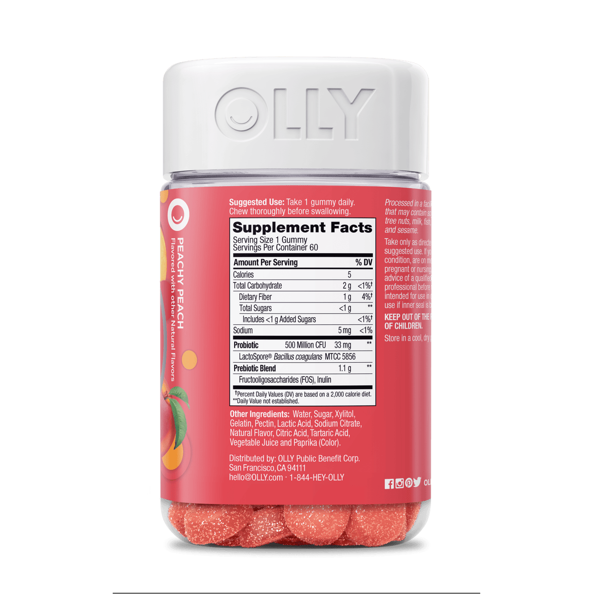 Probiotic + Prebiotic Image